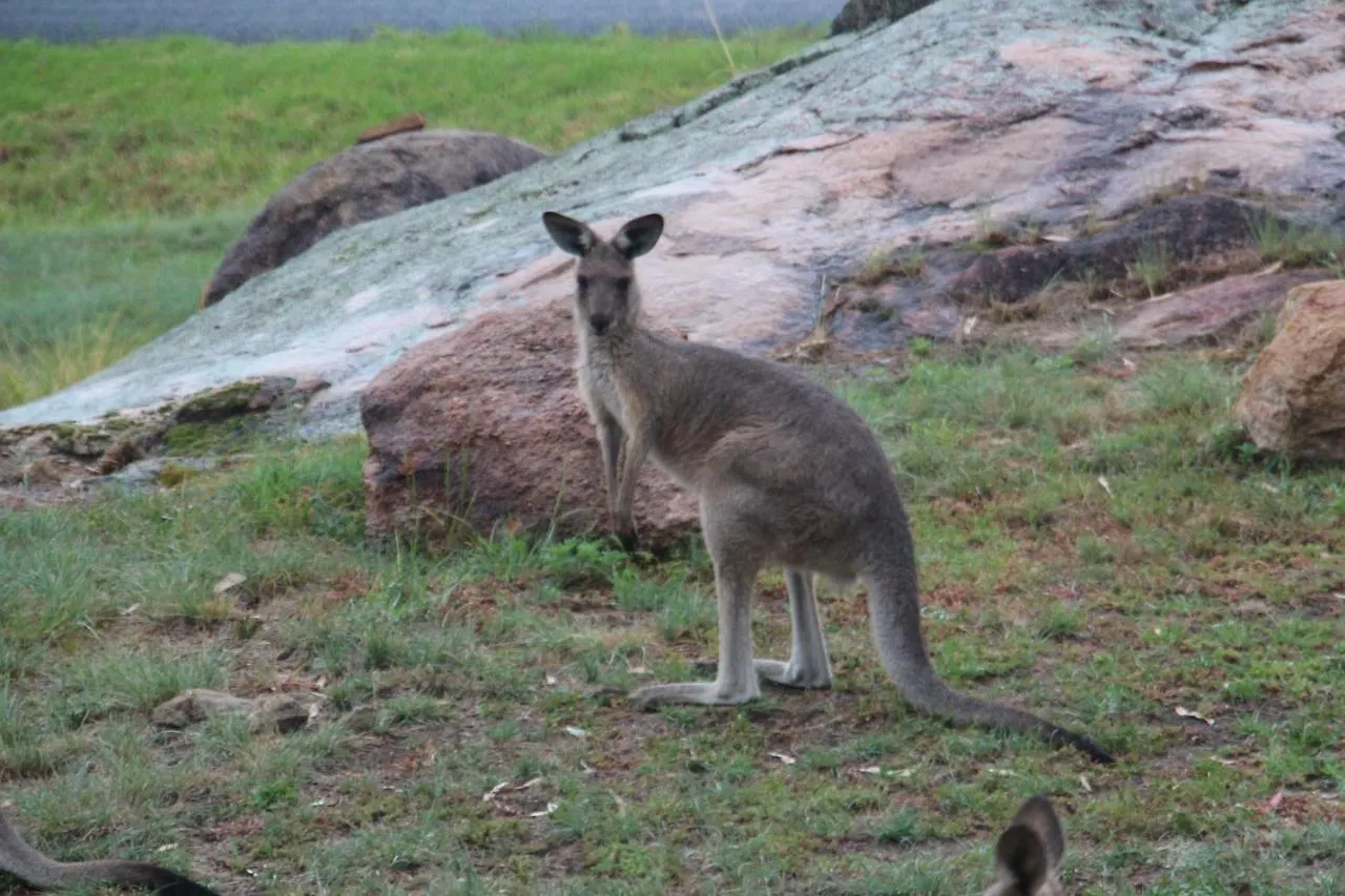 A Stanthorpe Getaway Vila Ballandean